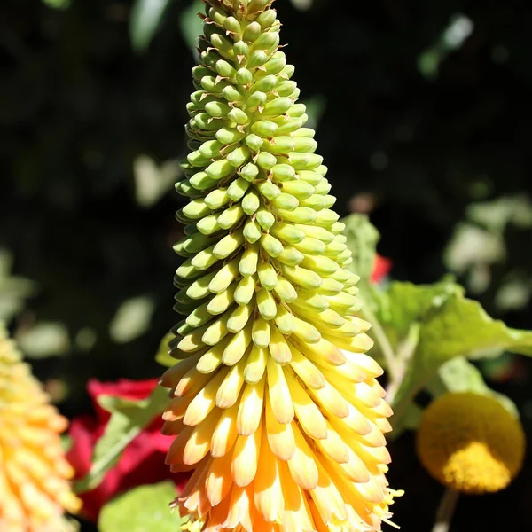 问鼎娱乐百家乐游戏